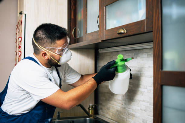 Best Termite Control Services  in Marlette, MI