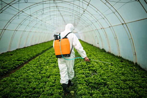 Best Mosquito Control Services  in Marlette, MI