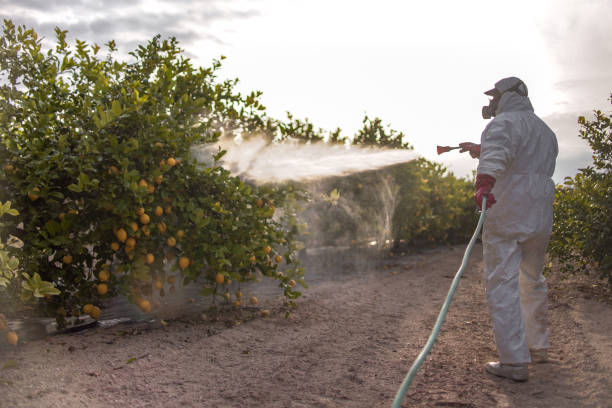  Marlette, MI Pest Control Pros