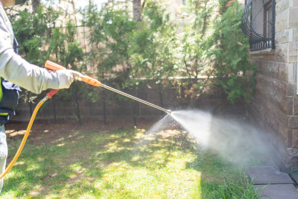Reliable Marlette, MI Pest Control Solutions