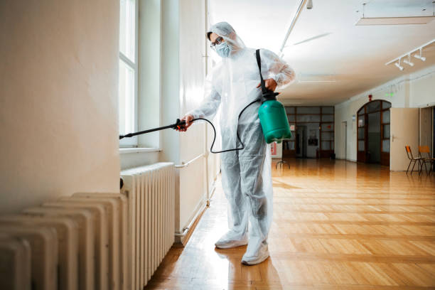 Best Flea Control Services  in Marlette, MI