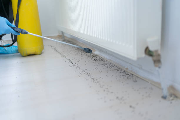 Best Pest Removal Services  in Marlette, MI