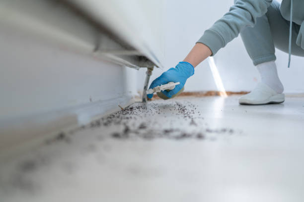 Best Pest Prevention Services  in Marlette, MI